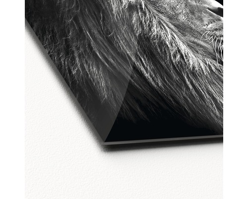 Gros plan d''une photo sur verre acrylique avec un motif de lion
