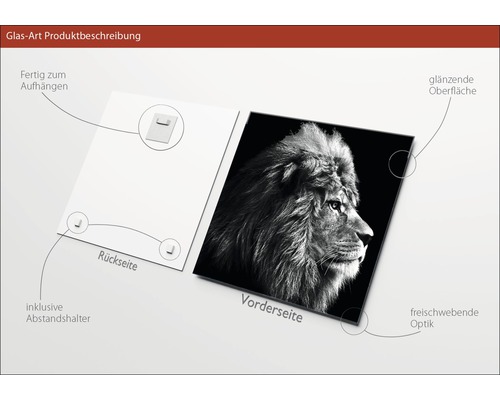 Image sur verre avec motif de lion, matériel de suspension et entretoises inclus