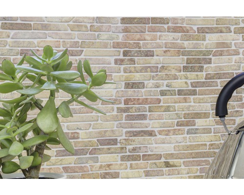 Wandgestaltung mit Steinoptik und Zimmerpflanze