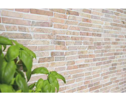 Wandgestaltung mit Steinverblendern und Basilikum