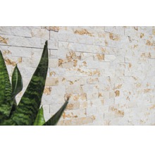 Revêtement mural en pierre naturelle avec des plantes au premier plan
