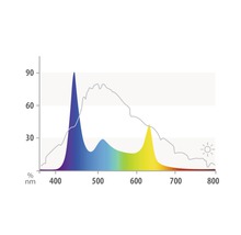 Diagramme du spectre lumineux avec longueurs d''onde et intensités