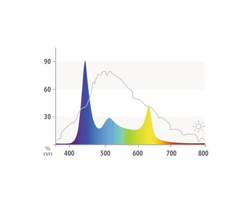 Diagramme du spectre lumineux avec longueurs d''onde et intensités