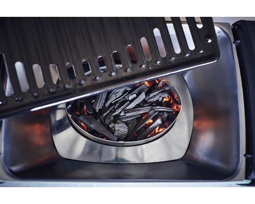 Gril avec charbon de bois et grille