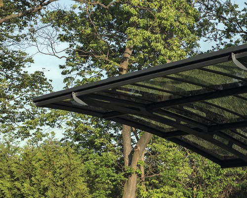 Vue détaillée d''un abri de voiture avec cadre en acier et toit transparent devant des arbres