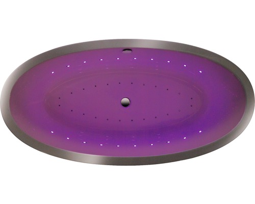 Bain tourbillon ovale avec éclairage LED