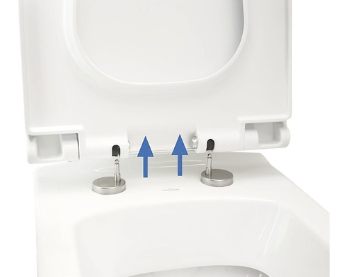 Detailansicht eines WC-Sitzes mit Befestigung