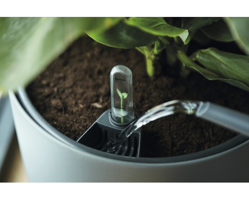 Système d''arrosage pour pots de fleurs avec indicateur de niveau d''eau