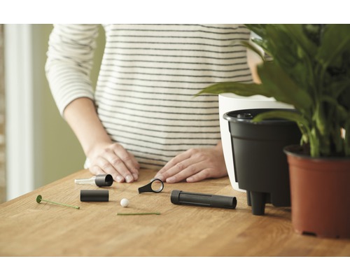 Femme préparant un système d''irrigation pour les plantes