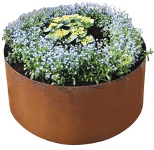 Parterre de fleurs avec bordure en acier et plantes fleuries