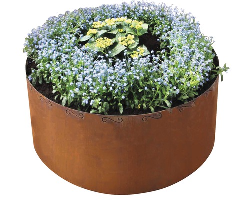 Parterre de fleurs avec bordure en acier et plantes fleuries