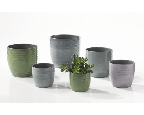 Pots de fleurs en céramique de différentes couleurs et de différentes tailles