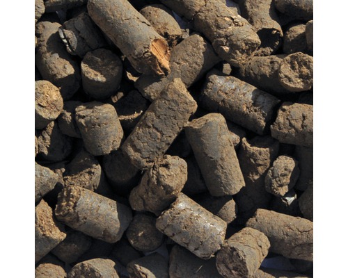 Gros plan de briquettes de lignite