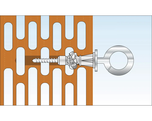 Abbildung eines Hohlraumdübels mit Ringschraube in einer Lochwand.