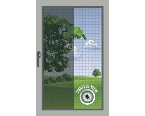 Fenêtre avec représentation de paysage et structure quadrillée