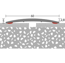 Illustration eines Übergangsprofils mit einer Breite von 60 Millimetern und einer Höhe von 5 Millimetern