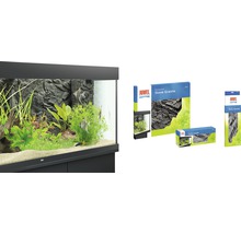 Aquarium mit Granit Hintergrund und Juwel Aquarium Logo
