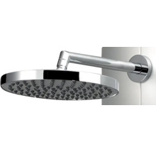Duschkopf mit Wandarm zur Montage in Dusche