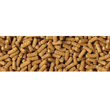 Gros plan de granulés pour animaux