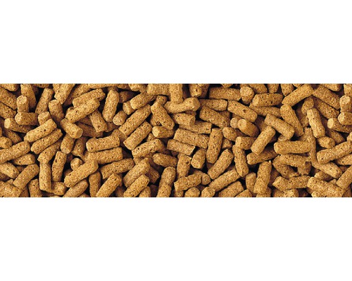 Gros plan de granulés pour animaux