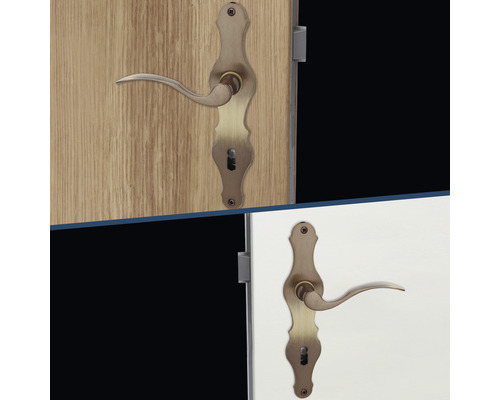 Türbeschlag-Garnitur mit Langschild am Türblatt