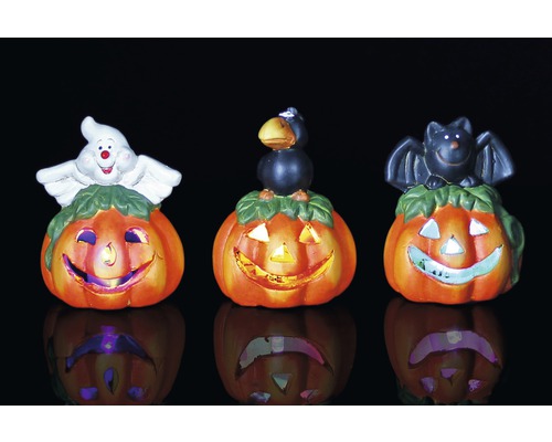 Drei Halloween Kürbislaternen mit Geist, Krähe und Fledermaus Dekorationen