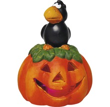 Halloween-Dekoration: Kürbis mit Rabe