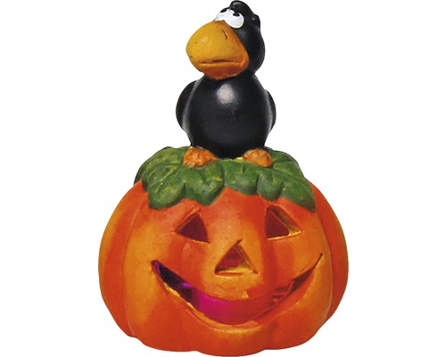 Halloween-Dekoration: Kürbis mit Rabe