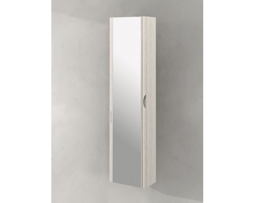 Armoire de toilette avec miroir et porte