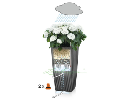 Illustration d''un bac à fleurs avec système d''irrigation et hortensias blancs.