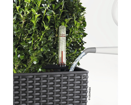 Arrosage d''un pot de fleurs avec indicateur de niveau d''eau