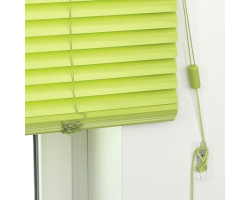 Grüne Jalousie am Fenster mit Zugschnüren