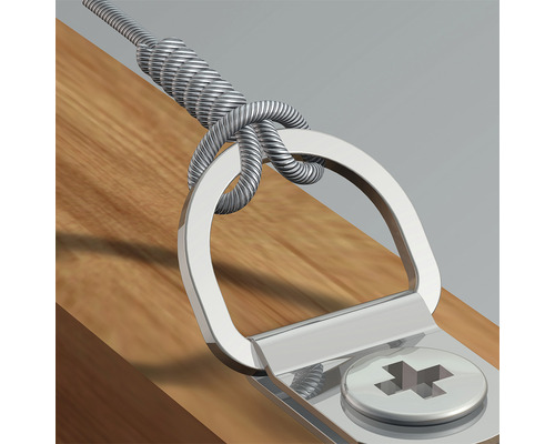 Vue détaillée d''un système d''accrochage de tableau avec anneau en D, vis et câble métallique