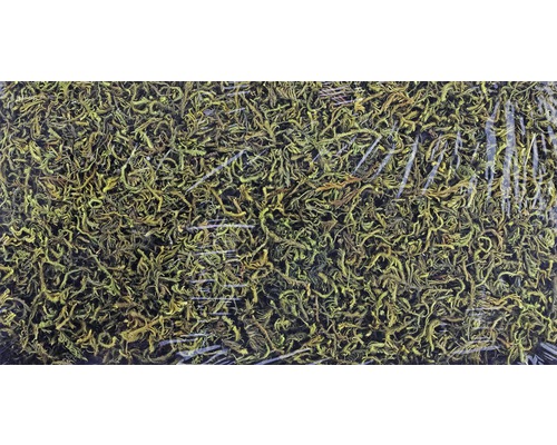 Büschel von Islandmoos in Verpackung