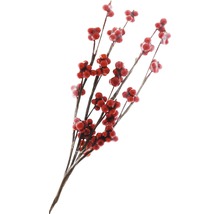 Dekorative Beerenzweige für florale Arrangements