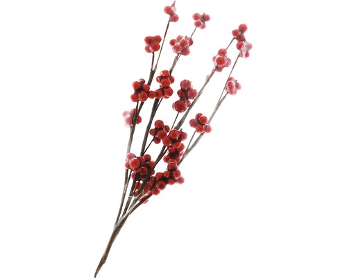 Dekorative Beerenzweige für florale Arrangements