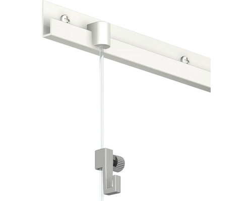 Système d''accrochage de tableaux avec rail, câble et crochet