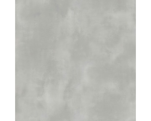Aspect béton gris pour les carreaux muraux et de sol