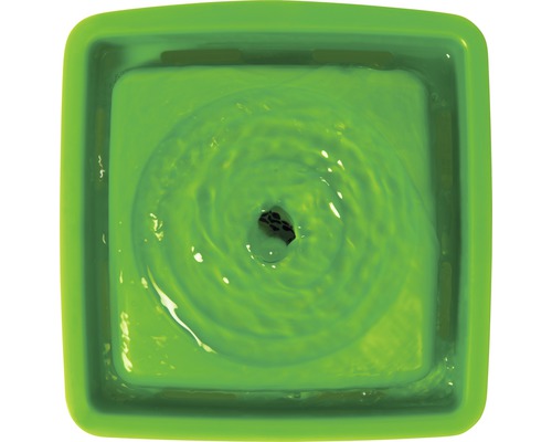 Fontaine d''intérieur verte avec de l''eau