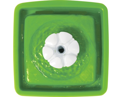 Fontaine à eau pour animaux de compagnie avec pompe dans un récipient vert