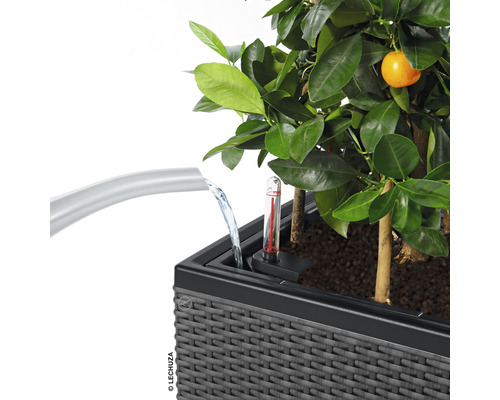 Bewässerungssystem für Pflanzgefäße mit Wasserstandsanzeige und Pflanze