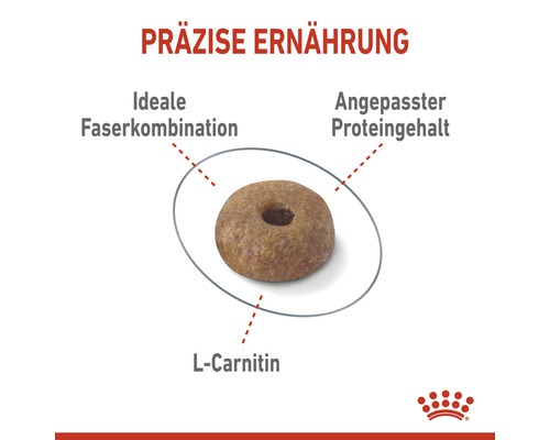 Ein einzelnes Stück Hundefutter mit idealer Faserkombination, angepasstem Proteingehalt und L-Carnitin