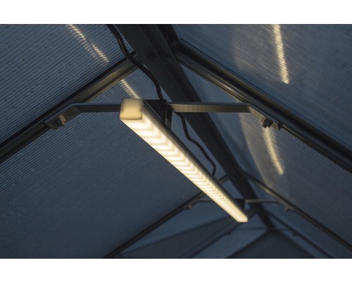 Vue intérieure d''une serre avec lampe pour plantes installée