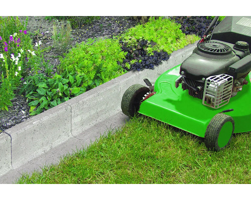 Scène avec bordure de pelouse et tondeuse à gazon dans le jardin