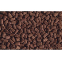 Nahaufnahme von Pellets als Brennstoff