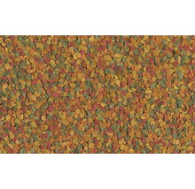 Image de flocons de nourriture pour poissons