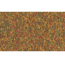 Flocons de nourriture pour poissons