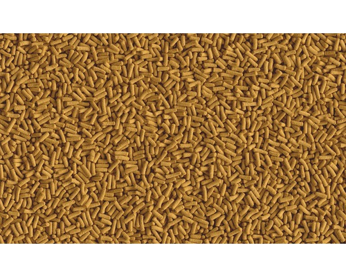 Gros plan de granulés pour poissons