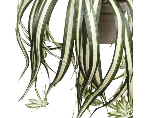 Detailaufnahme einer künstlichen Grünlilie mit gestreiften Blättern in einem Topf