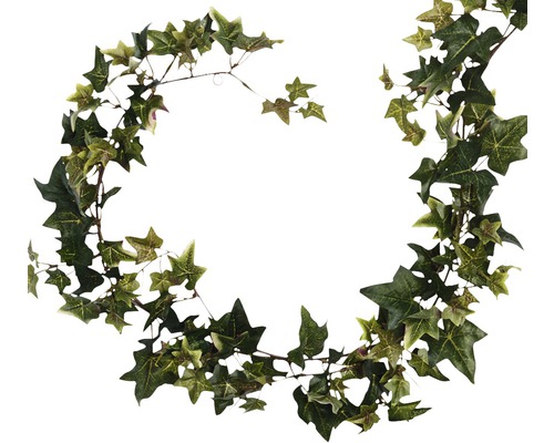 Guirlande de lierre avec des feuilles vertes
